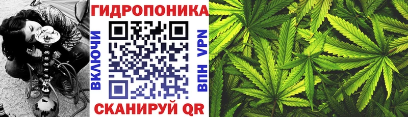 Купить закладки  Салаир  Каннабис Bruce Banner 